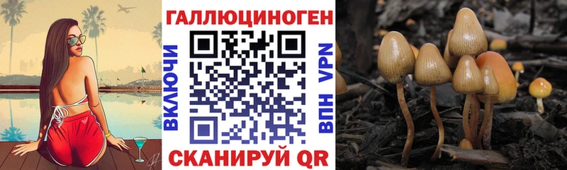 Псилоцибиновые грибы Magic Shrooms  Минеральные Воды 